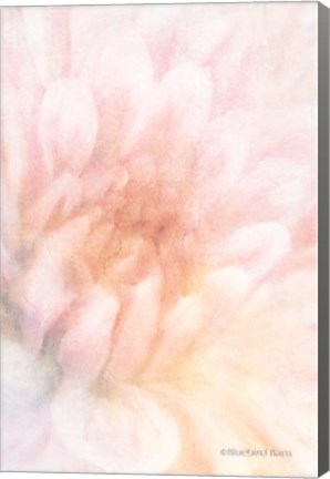 Framed Soft Dahlia Pastel Peach Print