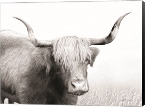 Framed Highland Cow Print