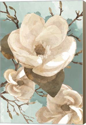 Framed Magnolia II Print