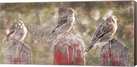 Framed Birds on a Fence Print