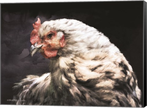 Framed Rooster Portrait Print