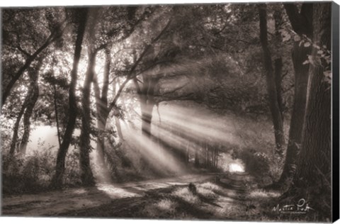 Framed Black and White Rays Print