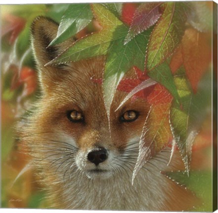 Framed Autumn Red Fox Print