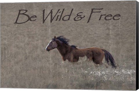 Framed Be Wild &amp; Free Print