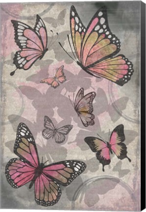 Framed Butterflies III Print