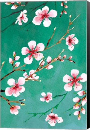 Framed Cherry Blossoms III Print