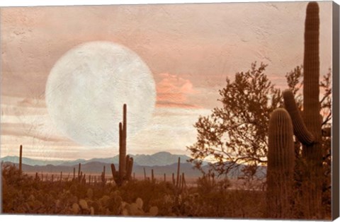 Framed Desert Twilight Print