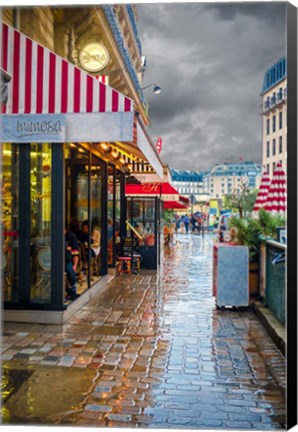 Framed Paris Cafe Mimosa Print