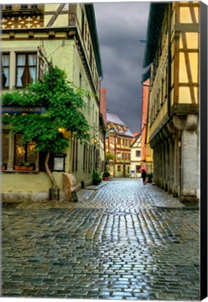 Framed Rothenberg Rain Print