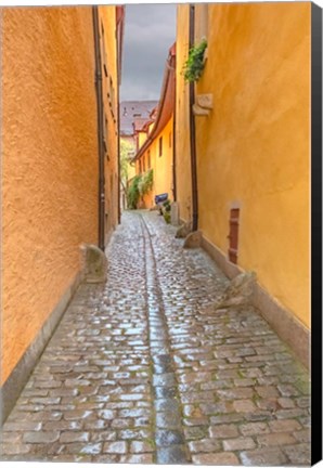 Framed Rothenberg Alley Print