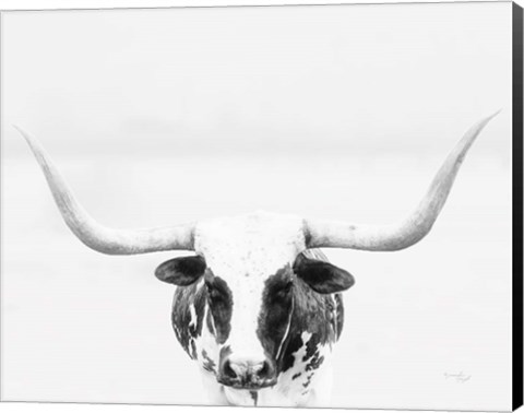 Framed Longhorn Print