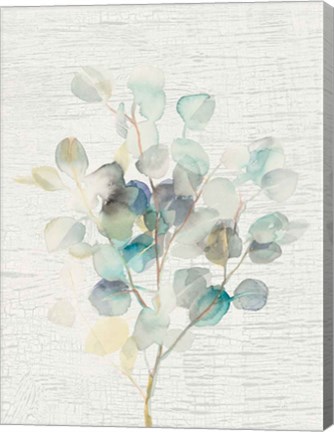 Framed Eucalyptus III Vintage Print