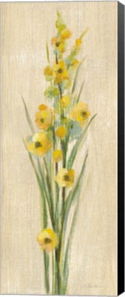 Framed Farm Flower III Print