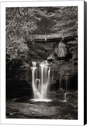 Framed Elakala Falls West II BW Print