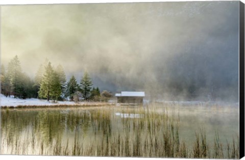 Framed First Touch of Snow Print