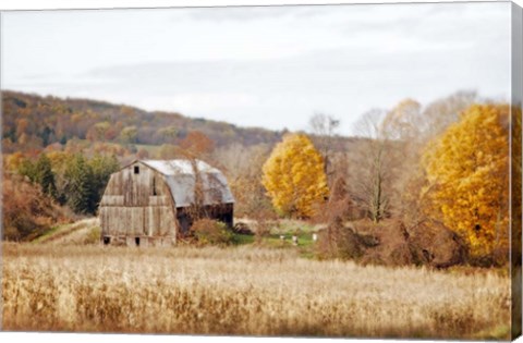 Framed Barn &amp; Beehives Print