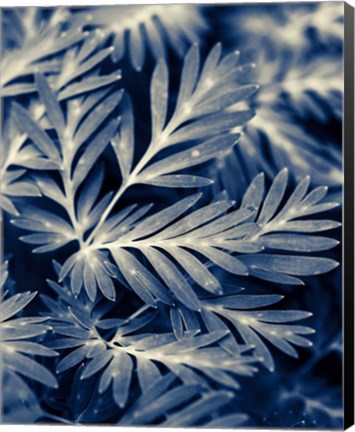 Framed Navy Blue Leaves Print