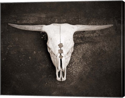 Framed Sepia Cattle Skull Print