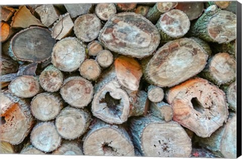 Framed Woodpile Print