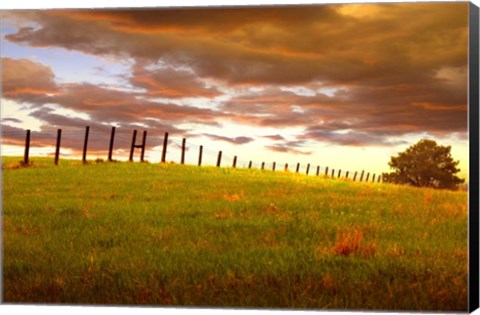 Framed Fenceline, South Dakota Print