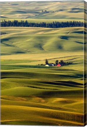 Framed Palouse #27 Print