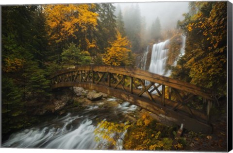 Framed Bridge in the Forest Print