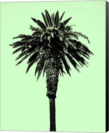 Framed Palm Tree 1996 (Green) Print