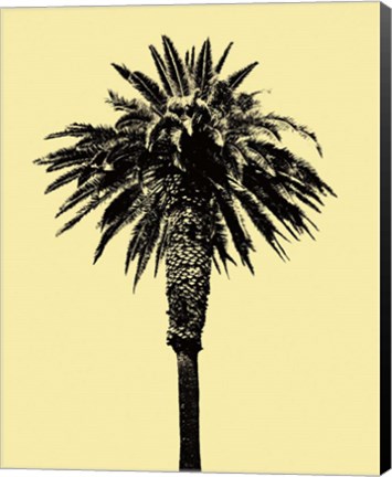 Framed Palm Tree 1996 (Yellow) Print