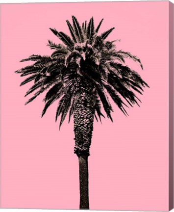 Framed Palm Tree 1996 (Pink) Print