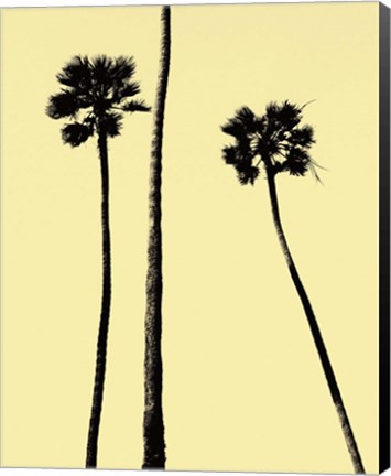 Framed Palm Trees 2000 (Yellow) Print