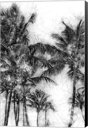 Framed Dorado Palms 1 Print