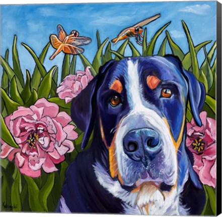 Framed Dog and Dragonflies Print