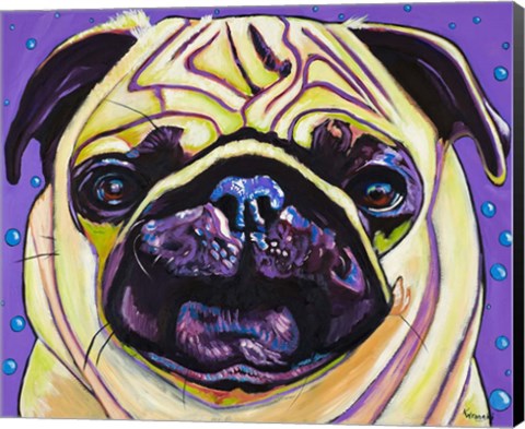 Framed Purple Pug Print