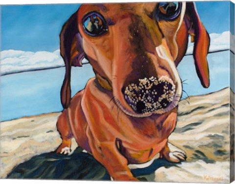 Framed Sand Dog Print