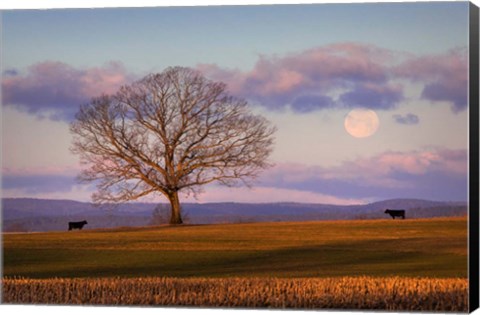 Framed Meeting at Dawn Print