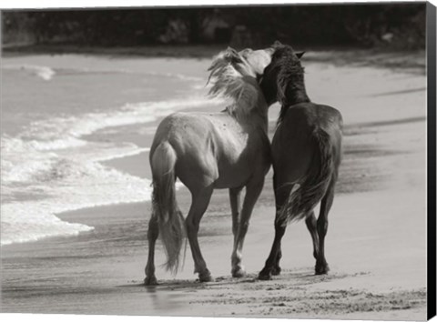 Framed Young Mustangs on Beach Print