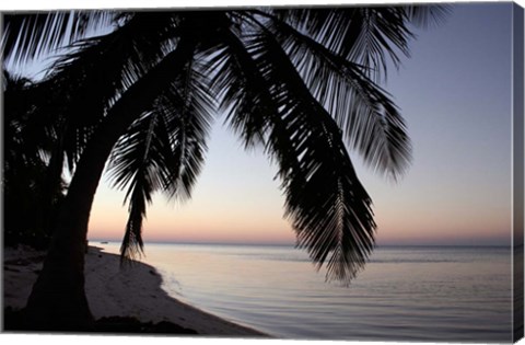 Framed Palm Tree Sunset Print