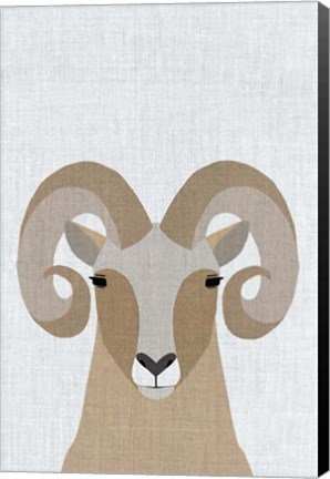 Framed Bighorn Sheep Print