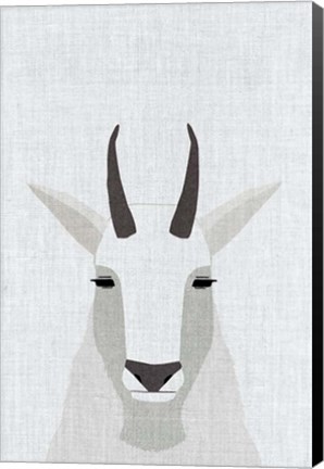 Framed Mountain Goat Print