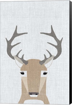 Framed Whitetail Deer Print