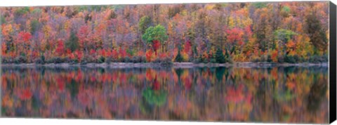 Framed Upson Lake Reflection Print