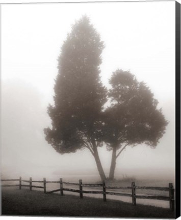 Framed Cedar Tree and Fence Print