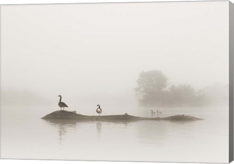 Framed Melton Lake Print