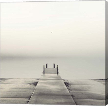 Framed Pier and Seagull Print