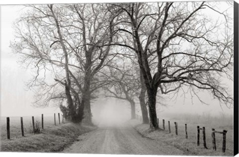 Framed Sparks Lane, Late Autumn Print