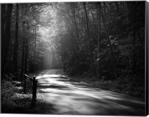 Framed Tremont Road, Smoky Mountains Print