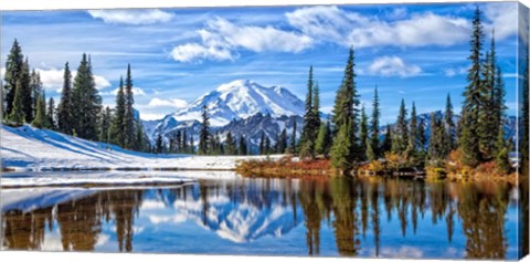 Framed Mt. Rainier Vista Print