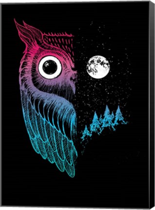Framed Night Owl Print