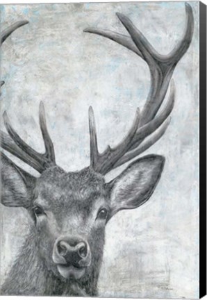 Framed Portrait of a Deer Print