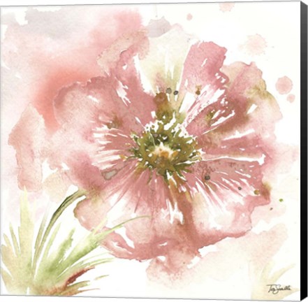 Framed Blush Watercolor Poppy I Print